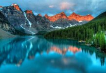 Jaki typ urody jest najrzadszy?