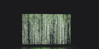 Kto wymyślił algorytm zachłanny?