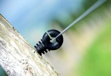 Czy francuski lubią Polaków?