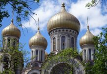 Czy na Litwie dogadam się po polsku? Czy na Litwie dogadam się po polsku?